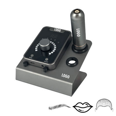 전기 총형 SMP 머리의 미세 색소화 장치 영구 화장과 스위스 모터 문신 기계 검은 파란색 협력 업체