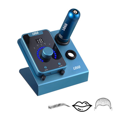 전기 총형 SMP 머리의 미세 색소화 장치 영구 화장과 스위스 모터 문신 기계 검은 파란색 협력 업체